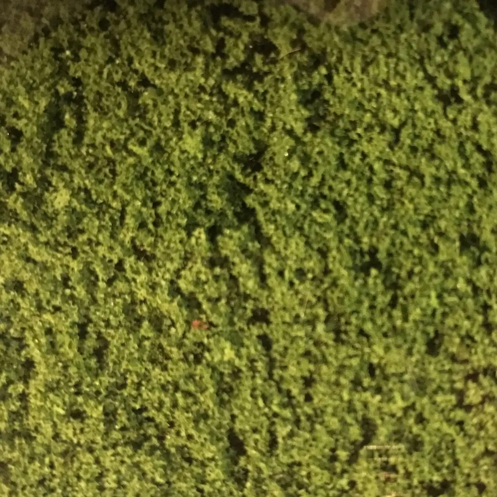 Flocage - Vert moyen - HEKI 1601 - Échelle Universelle - 280x140 mm