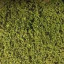 Flocage - Vert moyen - HEKI 1601 - Échelle Universelle - 280x140 mm