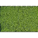 Flocage - Vert Clair - HEKI 1610 - Échelle Universelle - 200mL