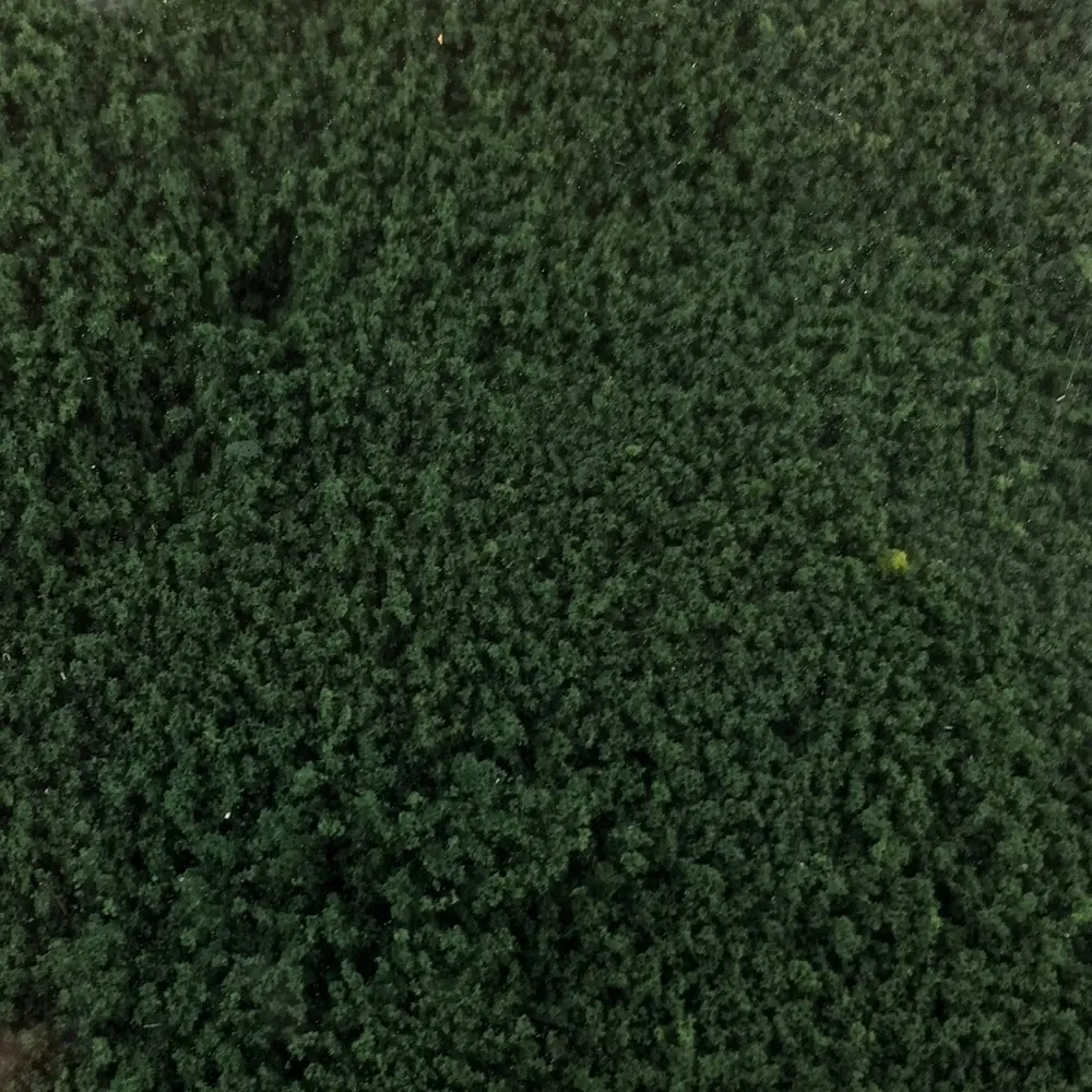 Flocage - Vert Pin - HEKI 1613 - Échelle Universelle - 200 mL