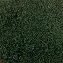 Flocage - Vert Pin - HEKI 1613 - Échelle Universelle - 200 mL