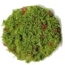Flocage - Flocons de feuillage - Vert clair / Rouge - HEKI 3390 - Échelle Universelle