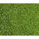 Flocage - Feuillage de vigne - Vert clair - HEKI 3398 - Échelle Universelle - 200 mL