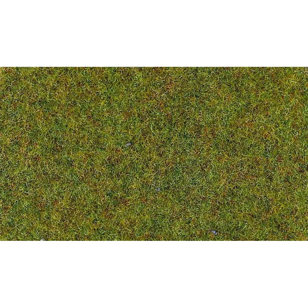 Flocage - Fibres d'herbes terrain d'été - HEKI 3360 - Échelle Universelle - 100 g