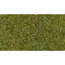 Flocage - Fibres d'herbes terrain d'été - HEKI 3360 - Échelle Universelle - 100 g