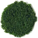 Flocage - Flocons de feuillage moyen - Vert foncé - HEKI 3387 - Échelle Universelle