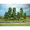 10 Hêtres - Vert foncé - HEKI 1323 - Échelle HO / TT - 100 à 180 mm