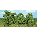 12 Arbres à feuilles - Vert - HEKI 1415 - Échelle HO / TT / N - 60-130 mm