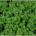 Tapis - Vert foncé - HEKI 1540 - Échelle HO / TT / N - 280x140 mm