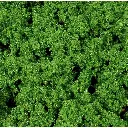 Super flocage - Vert - HEKI 1696 - Échelle universelle - 500 mL