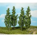 4 Peupliers - Vert foncé - HEKI 1719 - Échelle HO / TT - 140 mm