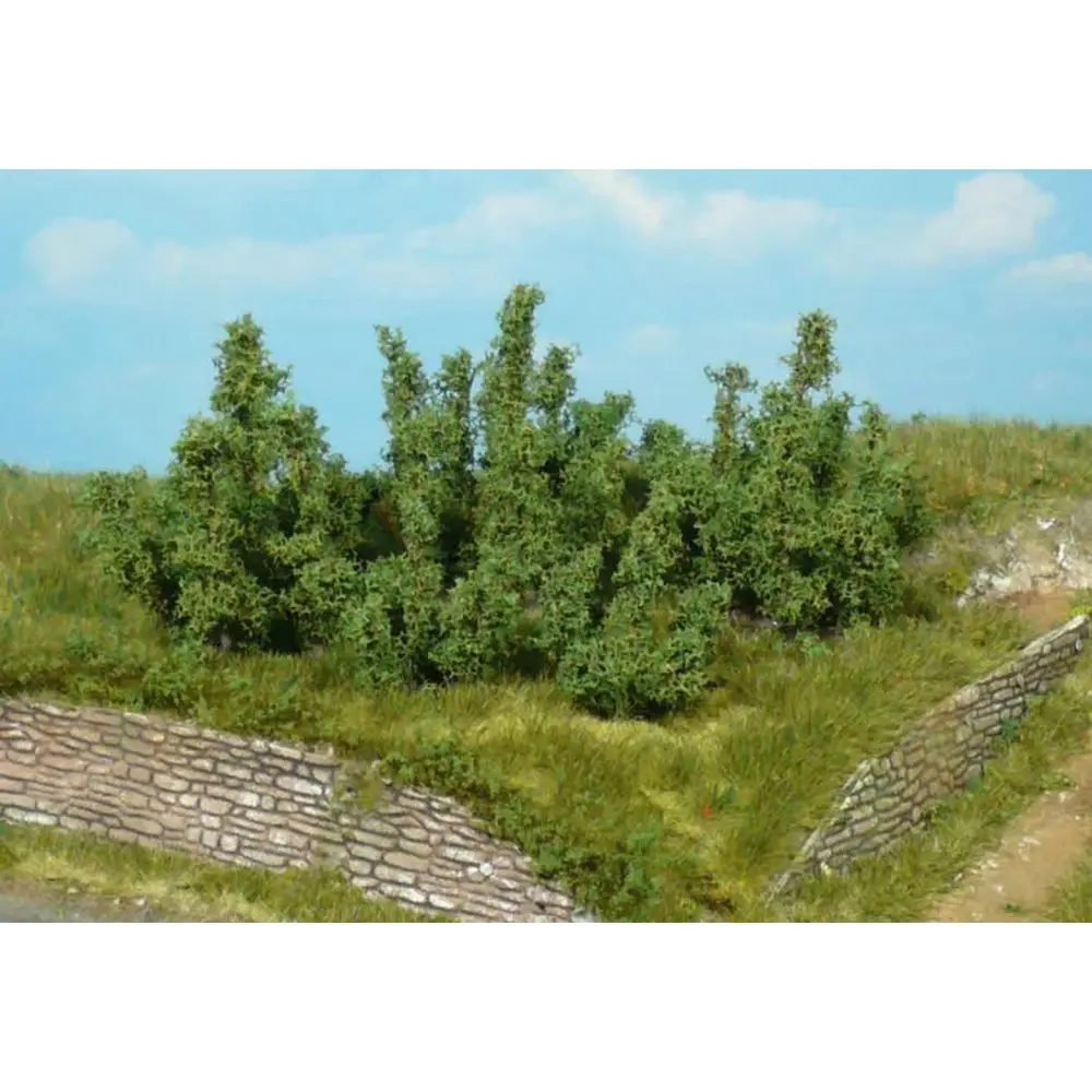 4 Buissons - Vert foncé - HEKI 1724 - Échelle HO / TT / N - 50 mm