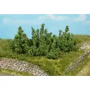 4 Buissons - Vert foncé - HEKI 1724 - Échelle HO / TT / N - 50 mm