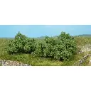 8 Buissons - Vert foncé - HEKI 1735 - Échelle HO / TT / N / Z - 40 mm
