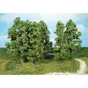 6 Hêtres - Vert - HEKI 1761 - Échelle HO / TT - 180 mm