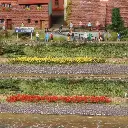 10 Bandes d'herbes - Rouge / Jaune - HEKI 1814 - Échelle HO / TT / N - 100 mm