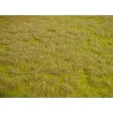 Tapis - Herbes sauvages de savane - Vert - HEKI 1840 - Échelle HO / TT - 450 x 170 mm