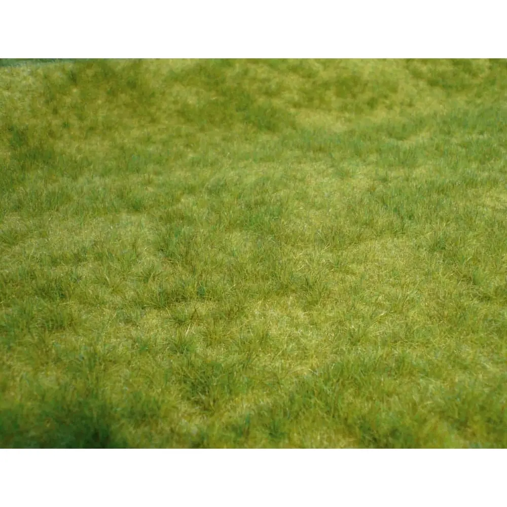 Tapis - Herbes sauvages du printemps - Vert - HEKI 1841 - Échelle HO / TT - 450x170 mm
