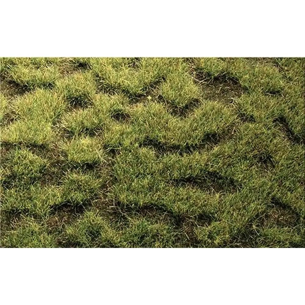 Flocage - Herbes sauvages - Sol marécageux - Vert foncé - HEKI 1843 - Échelle HO / TT - 450x170 mm