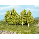 6 bouleaux 8 cm - Heki 1998 - HO 1/87 / N 1/160 / TT 1/120