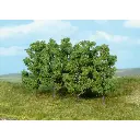 6 Aulnes à planter - Vert foncé - HEKI 1999 - Échelle HO / TT / N - 80 mm