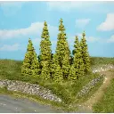 7 Mélèzes - Vert - HEKI 2147 - Échelle HO / TT / N - 70 à 110 mm