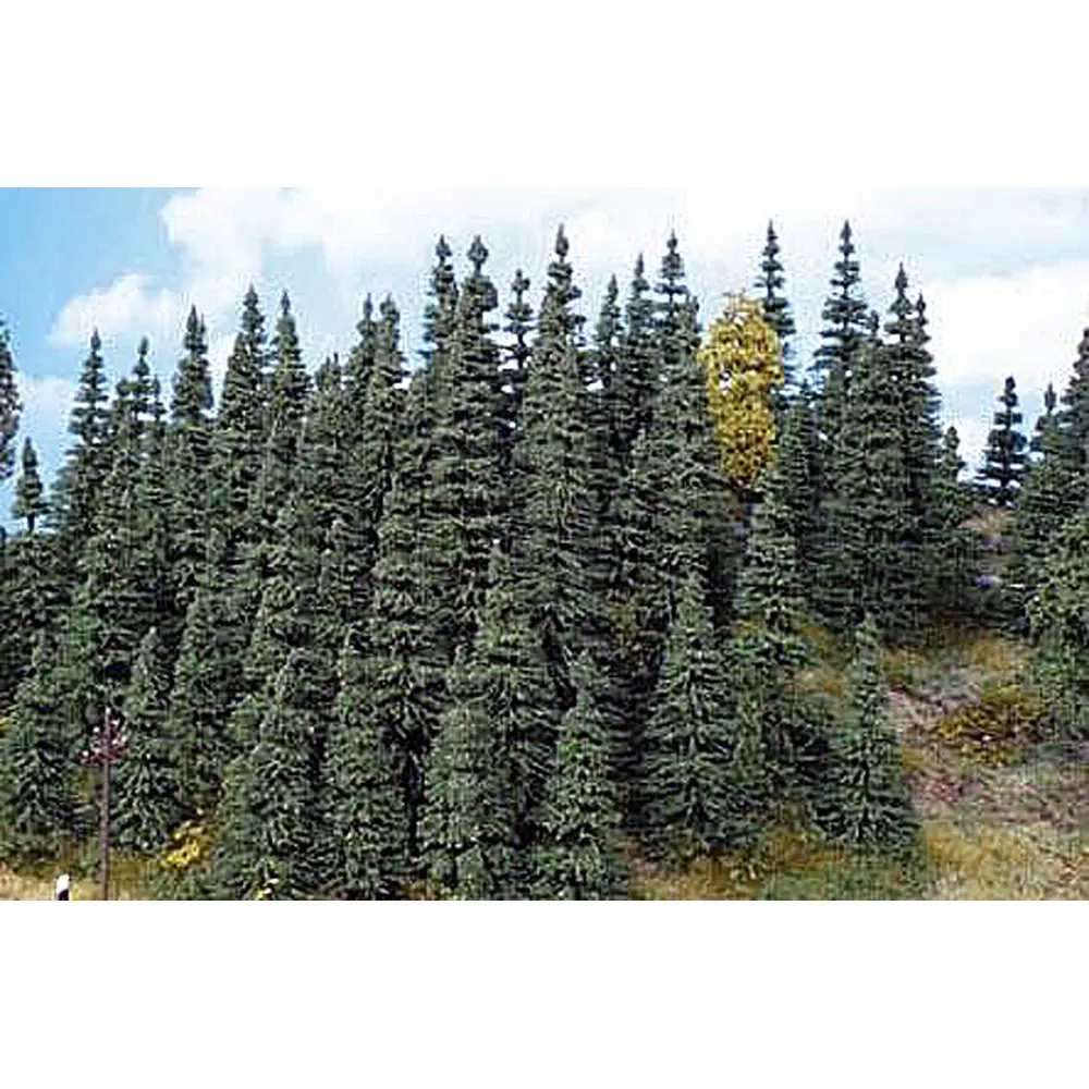 Lot de 30 sapins à planter 7-14 cm