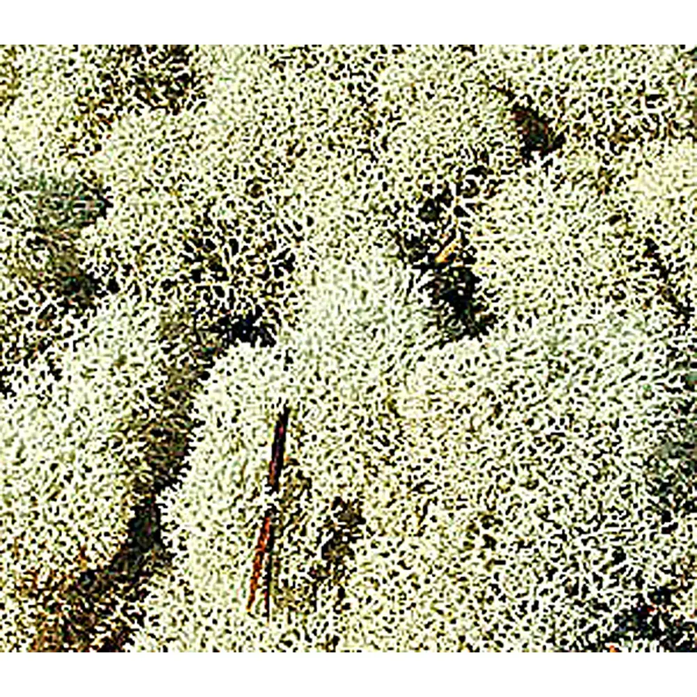 Sachet de Mousse - Gris - 30 Grammes - HEKI 3212 - Toutes Echelles