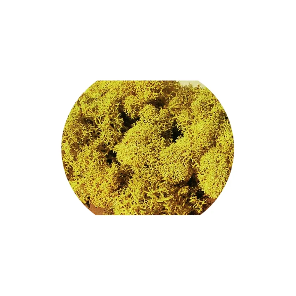 Mousse jaune 30g - Heki 3215 - Échelle universelle