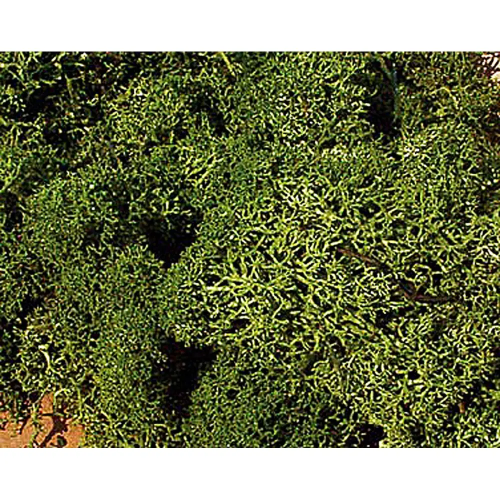 Mousse vert moyen 75 grammes - HEKI 3222