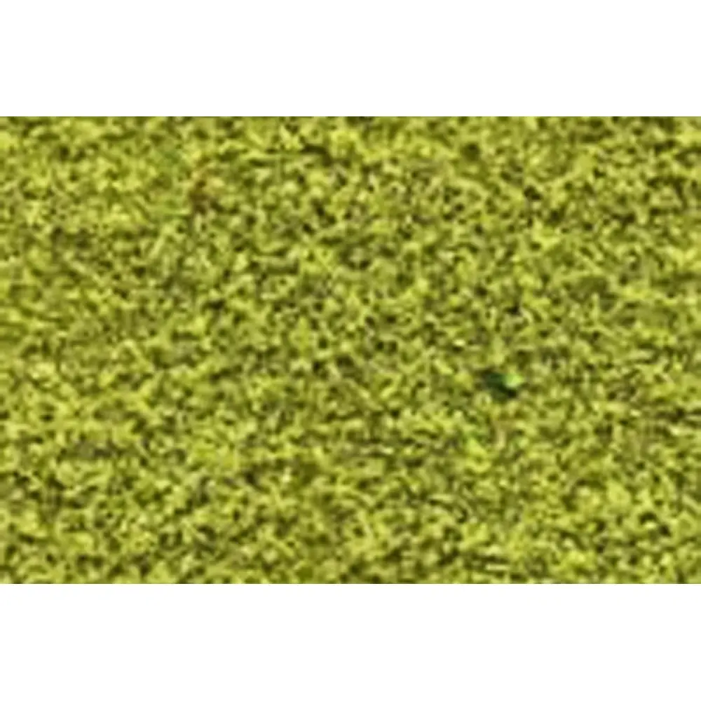Filet Floqué - Tapis Vert - 28x14CM - HEKI 1680 - Toutes Echelles