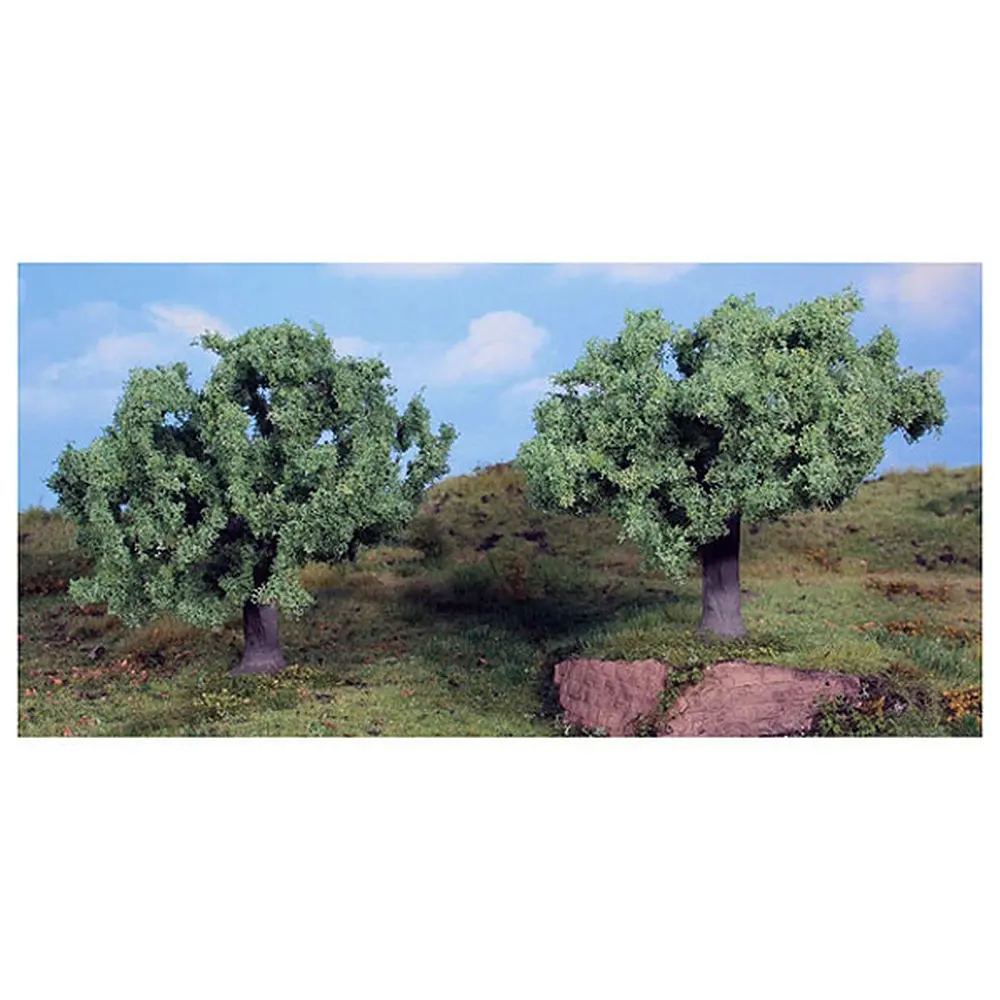2 oliviers 11cm