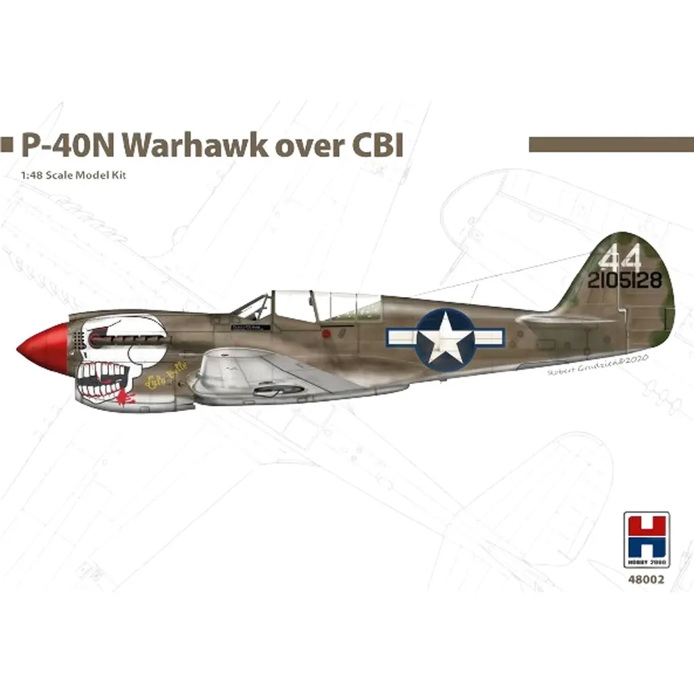 Avion de combat - Le Curtiss P-40 Warhawk - Hobby 2000 48002 - 1/48