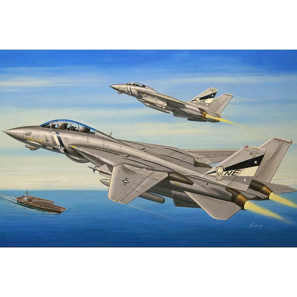 F-14D Super Tomcat - Hobby Boss 80278 - 1/72