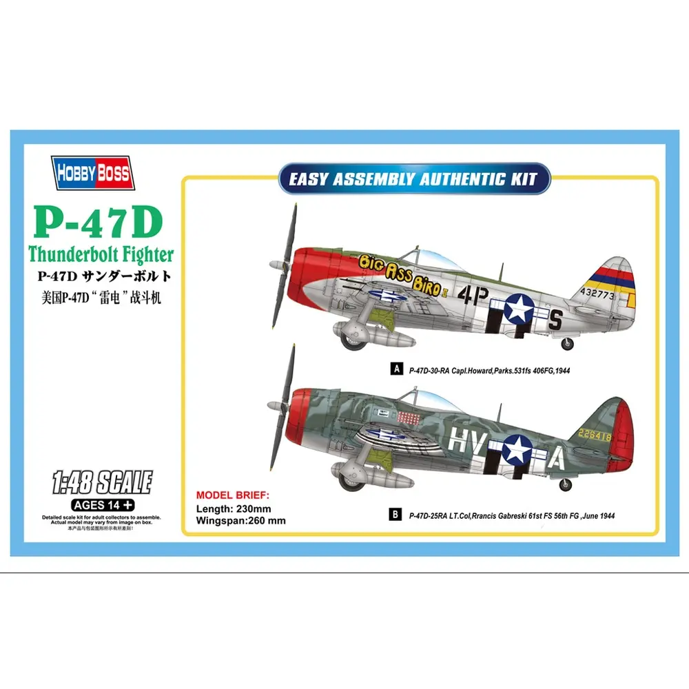 Chasseur Thunderbolt P-47D - Hobby Boss 85804 - 1/48