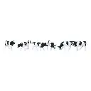 6 Vaches - Kato K24-220 - N 1/160