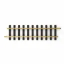 Rail droit 300 mm code 332 - LGB 10000 - G 1/22,5 - 2R
