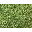 Feuilles vert clair - Noch 07142 - Toutes échelles - 50 g