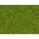 Fibres herbes "prairie printanière" - Noch 08300 - Toutes échelles - 2,5 mm - 20 g