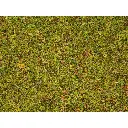 Herbe "près en fleurs" - Noch 08330 - Toutes échelles - 2,5 mm - 20 g