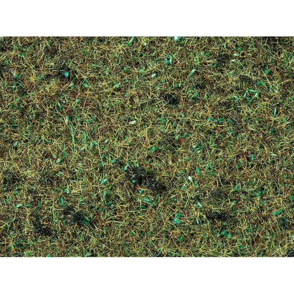 Fibres herbes vert forêt - Noch 08350 - Toutes échelles - 2,5 mm - 20 g