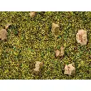 Herbe des prés de montagne - Noch 08360 - Toutes échelles - 20 g