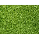 Flocage vert clair - Noch 08410 - Toutes échelles - 42 g