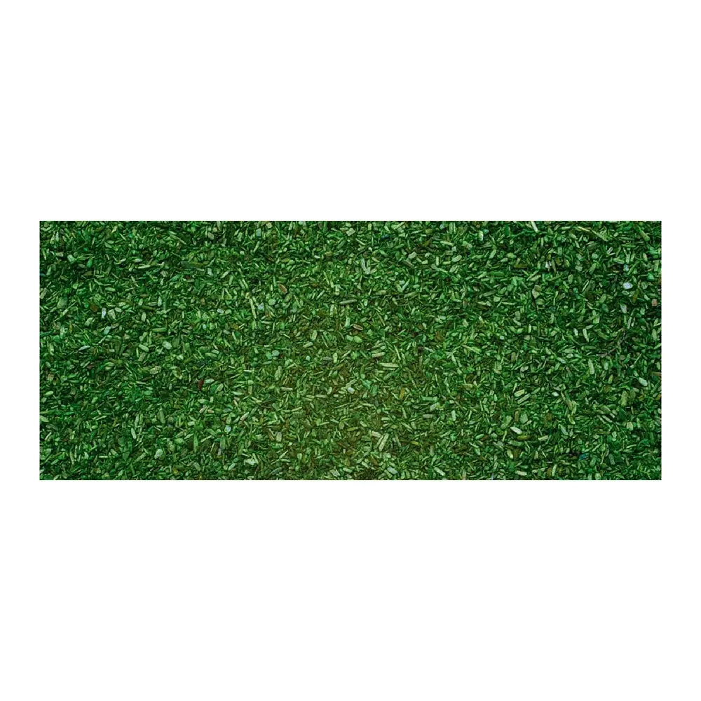 Herbe de Sol de Foret - 42 Grammes - Noch 08470 - Toutes Echelles