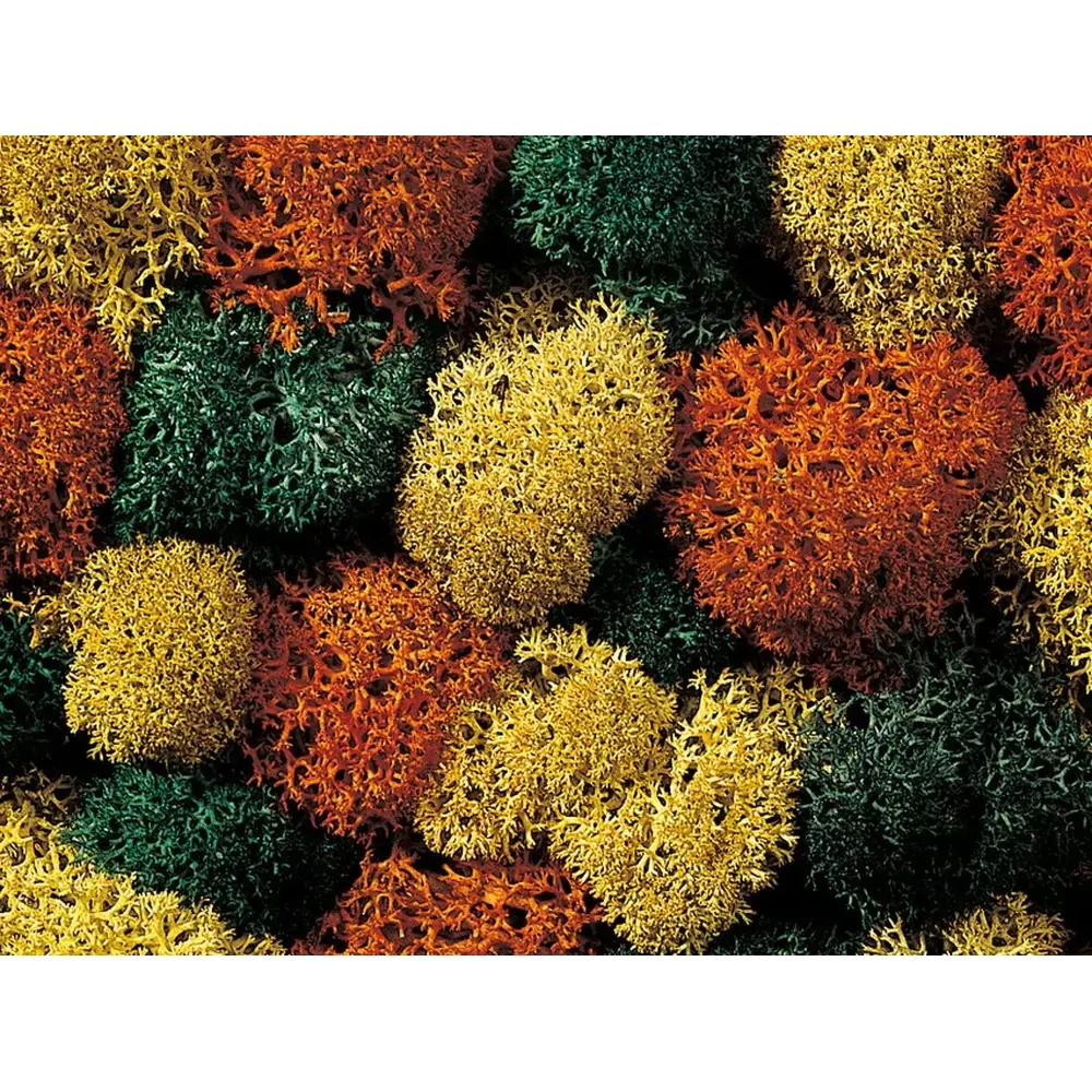 Mousse lichen couleurs d'automne - Noch 08620 - Toutes échelles - 75 g