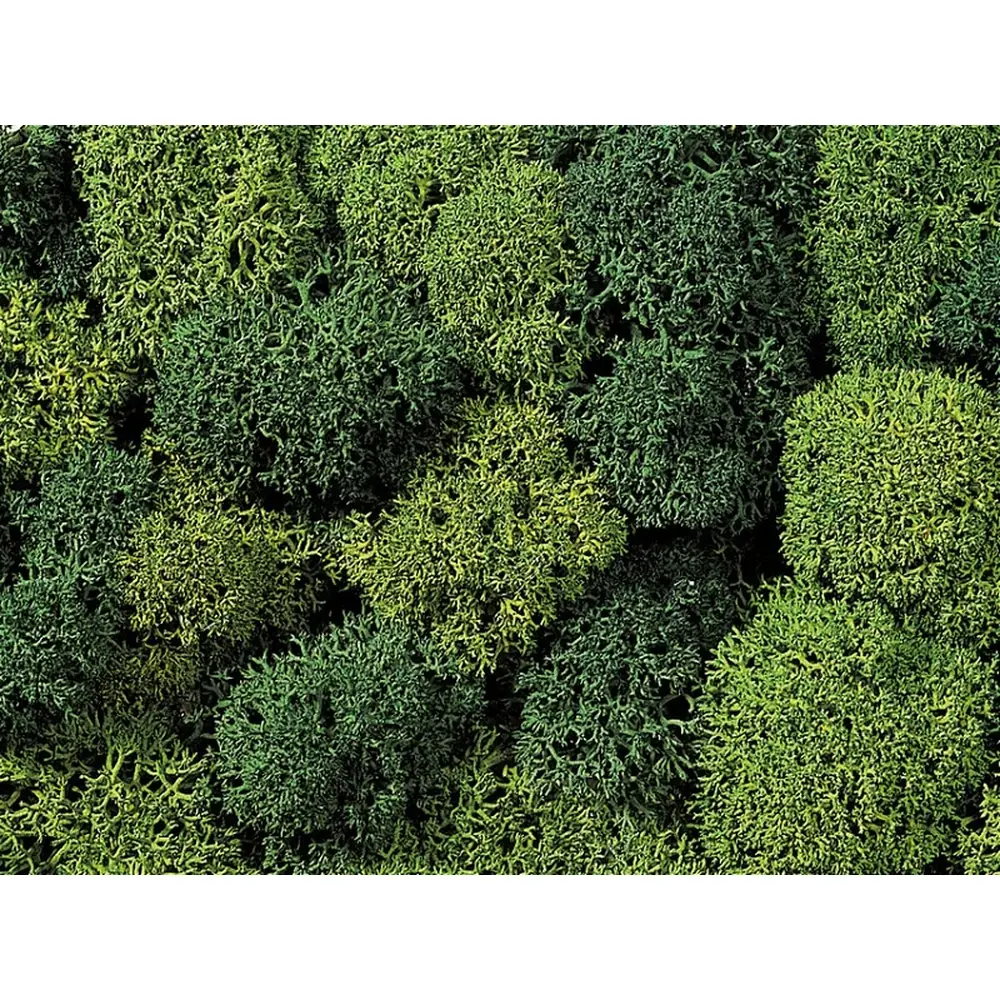 Mousse lichen "Green Mix" - Noch 08621 - Toutes échelles - 75 g