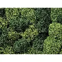 Mousse lichen "Green Mix" - Noch 08621 - Toutes échelles - 75 g