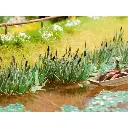 Roseaux laser-cut - Noch 14102 - HO 1/87 - 16 plantes