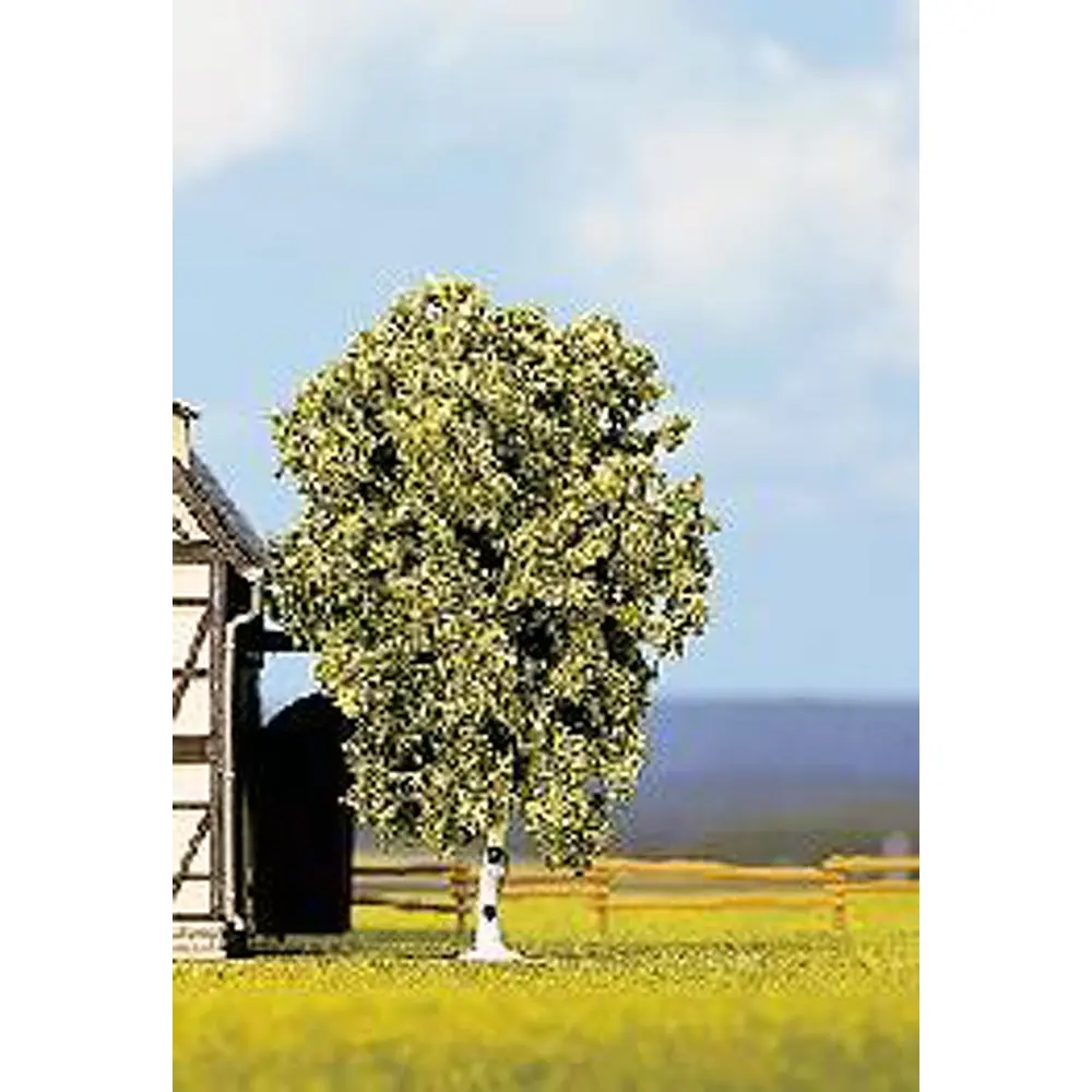 Bouleau  / 11.5 cm de haut