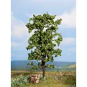 Tilleul - Noch 21780 - N - TT - HO - O - 18,5 cm